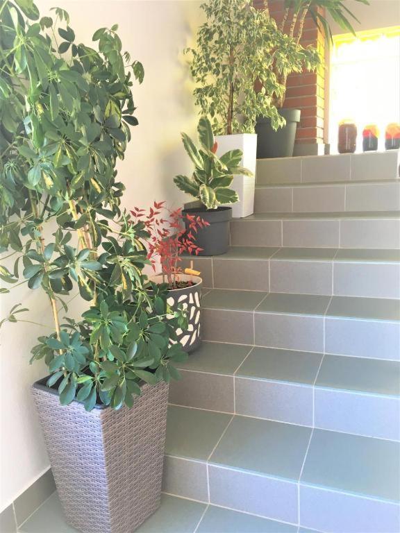 Cosy Apartment On The Beach - Kali Εξωτερικό φωτογραφία
